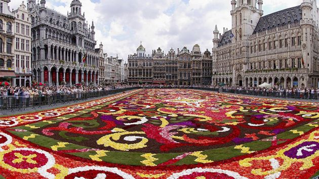 Immigration to belgium